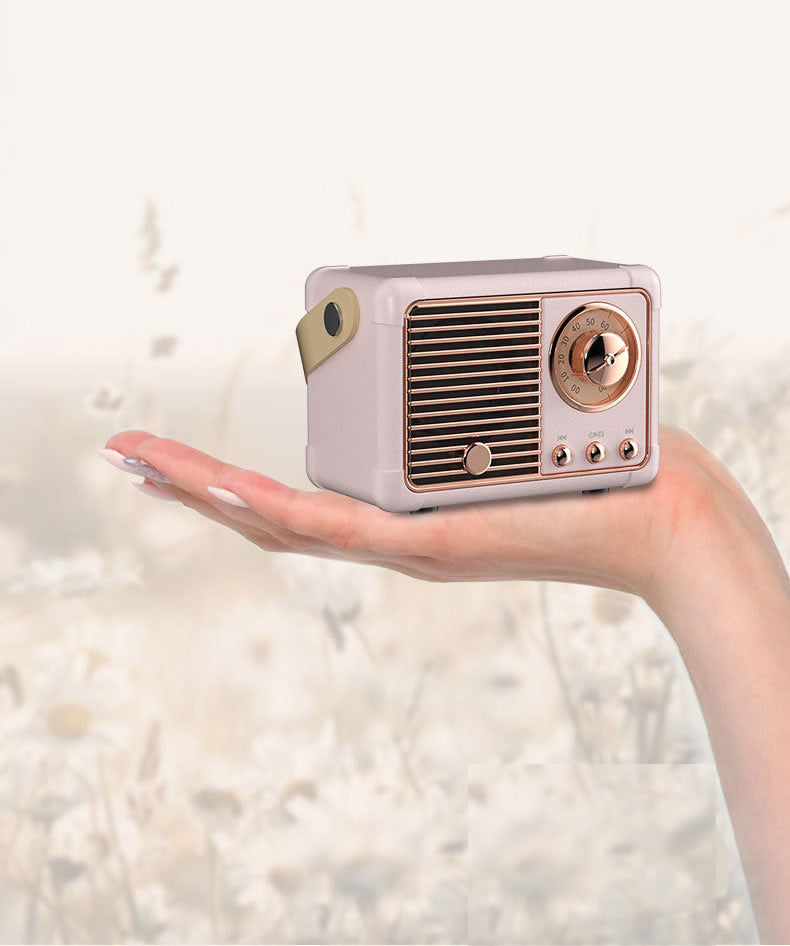 FM Radio And Bluetooth Speaker