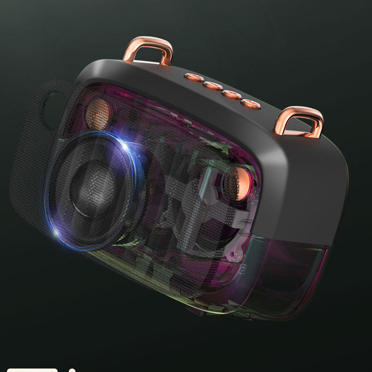 FM Radio And Bluetooth Speaker