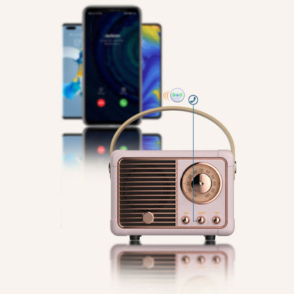 FM Radio And Bluetooth Speaker